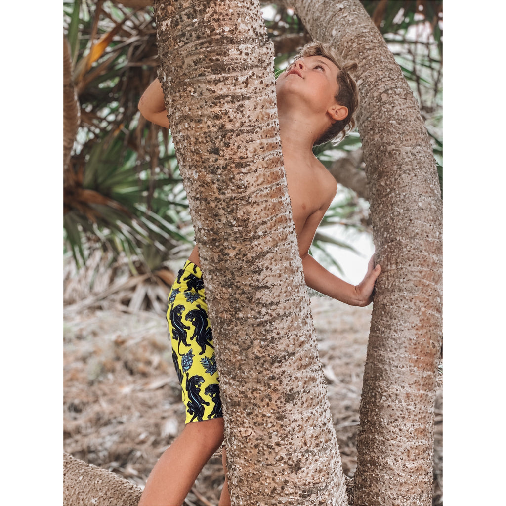 Flash Hallow Reversible Jammers