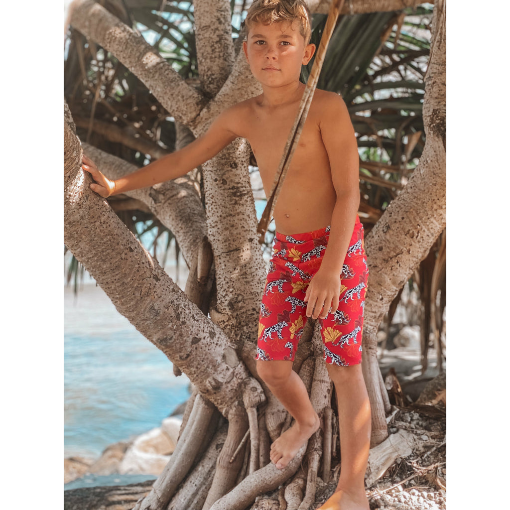 Cheetah Snitch Reversible Jammers