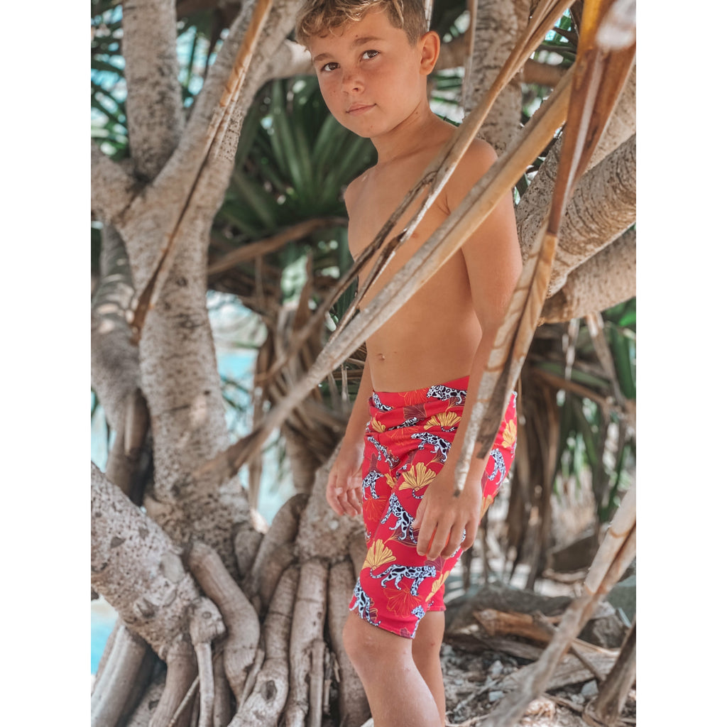 Cheetah Snitch Reversible Jammers